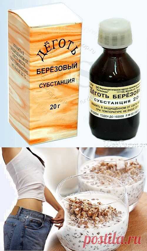 Философия Жизни
