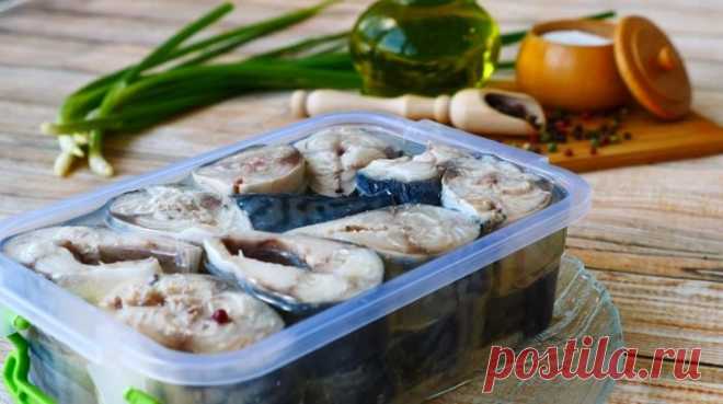 Малосольная скумбрия в масле: вкусный рецепт для обожателей рыбы Любителям рыбы предлагаем уникальный рецепт: очень вкусная малосольная скумбрия в масле. Ее очень легко приготовить. Простой рецепт, но зато на столе