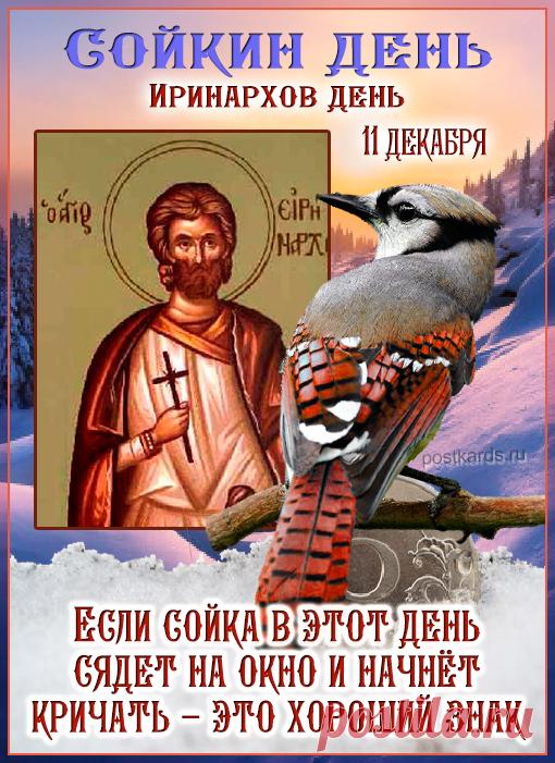 Поздравляем с Сойкиным днем! Пусть ваша забота о птицах принесет вам радость и благополучие. Спасибо, что помогаете лесным жителям! Открытки на Сойкин день!