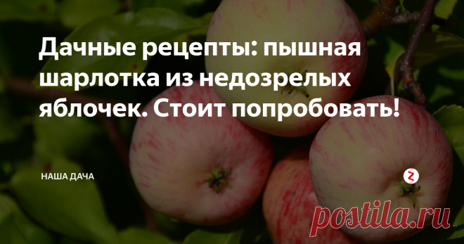 Дачные рецепты: пышная шарлотка из недозрелых яблочек. Стоит попробовать! Тем более, что бисквит по такому рецепту никогда не опадает, и готовится пирог, не считая времени выпекания, буквально за десять-пятнадцать минут.  Да и зеленые яблоки, которые еще не созрели, но уже «задумались», вполне пригодны для этого пирога – и польза, и очень вкусно. Я вас уверяю, вам точно понравится.