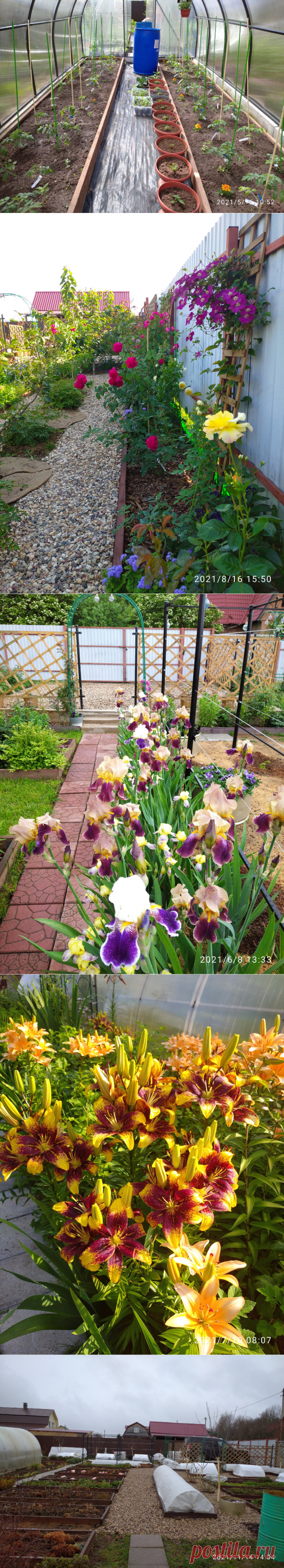 САДОВЫЙ УЧАСТОК С НУЛЯ. НАШ РЕЗУЛЬТАТ ЗА ТРИ СЕЗОНА | Цветочная Рапсодия | Яндекс Дзен