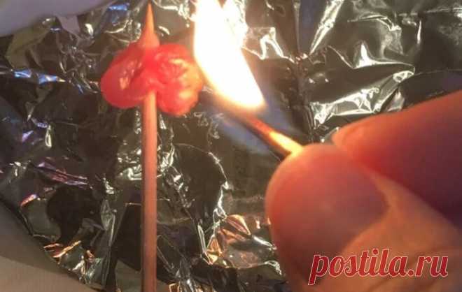Грузин научил за 20 секунд определять натуральное мясо от 