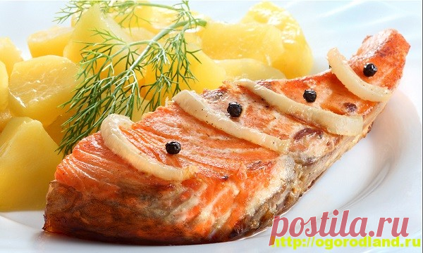 (+2) Семга, запеченная в духовке. Два рецепта приготовления