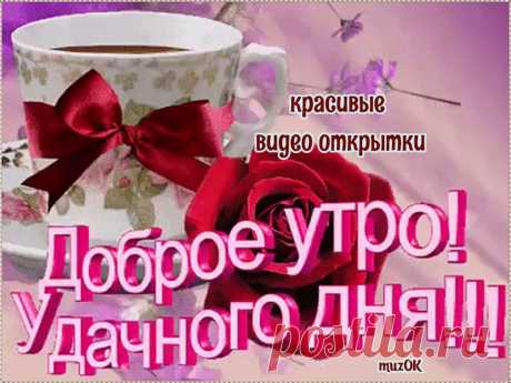 Доброго утра и чудесного дня. Видео. * МУЗыкальный подарОК Красивые видео открытки доброго утра и чудесного дня вам от души желаю друзья. Скачать бесплатно видео пожелания на утро.