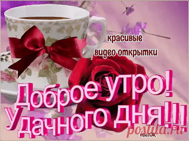 Доброго утра и чудесного дня. Видео. * МУЗыкальный подарОК Красивые видео открытки доброго утра и чудесного дня вам от души желаю друзья. Скачать бесплатно видео пожелания на утро.