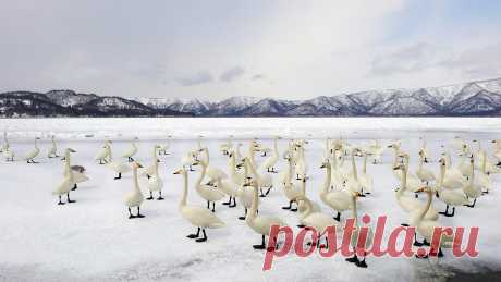 Берегите природу