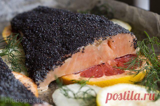 Форель в маковой корочке с грейпфрутом и имбирным соусом - Хлебопечка.ру
