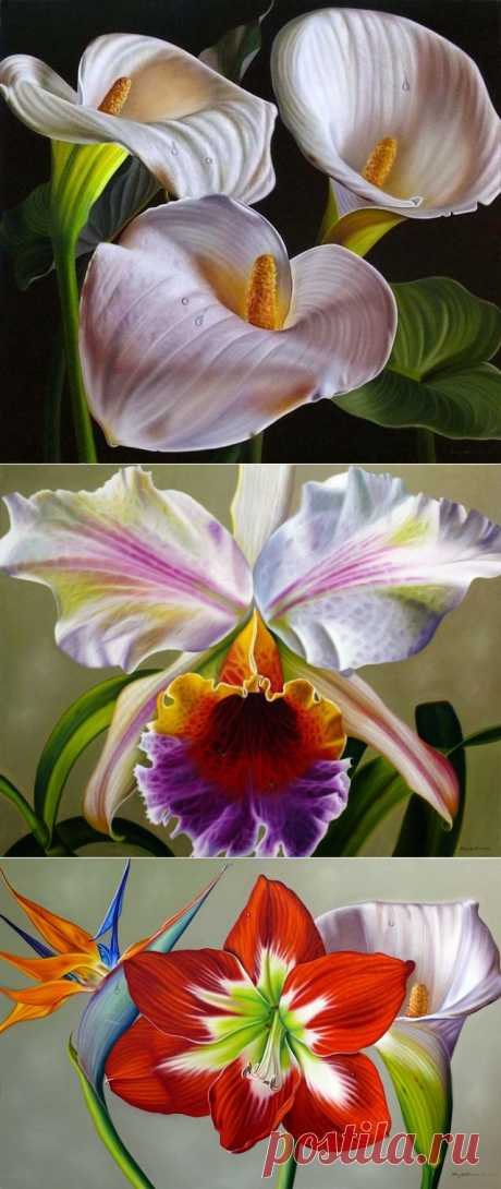 Фотореалистичные картины Эллери Гутьеррес.