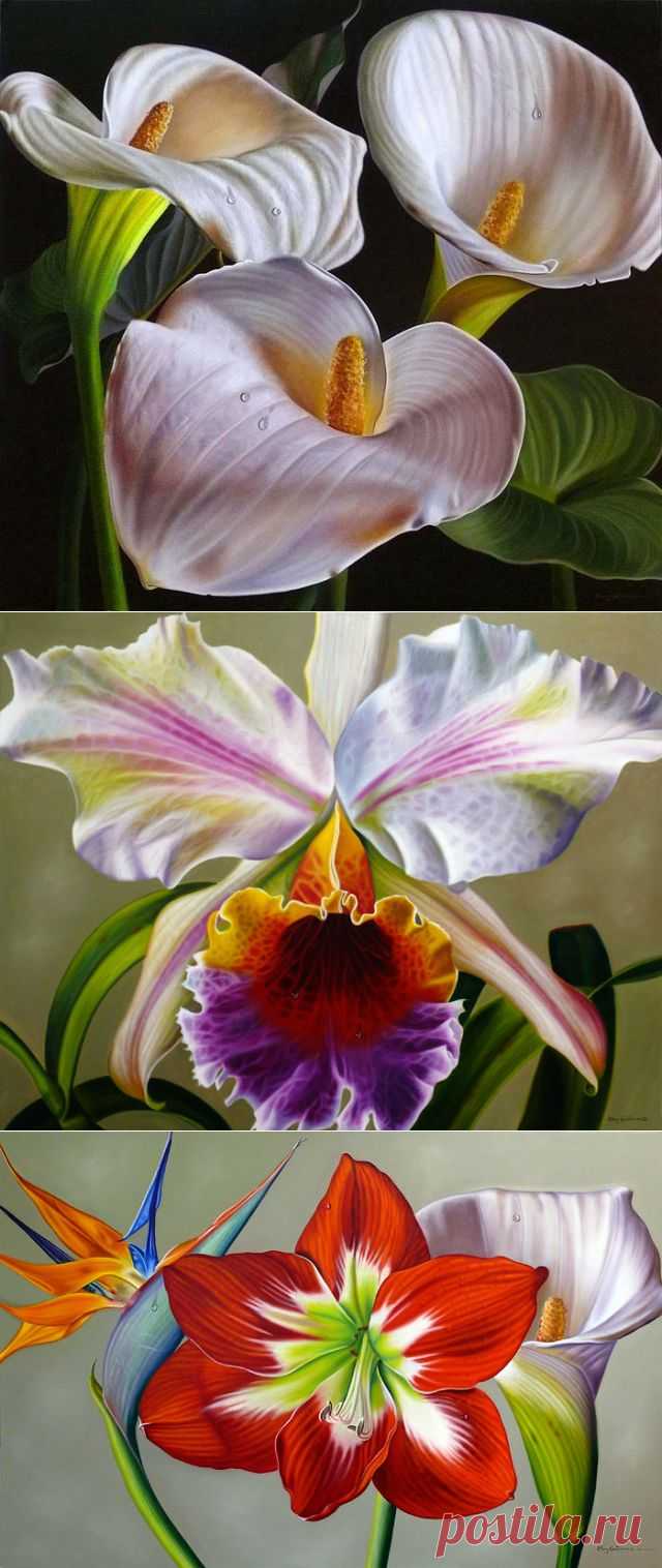 Фотореалистичные картины Эллери Гутьеррес.