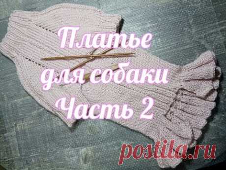 Платье для собаки спицами, Часть 2