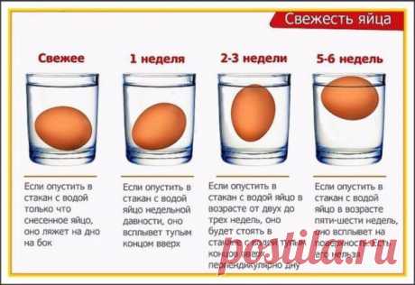ZJprXi1Ugd8.jpg (600×412)