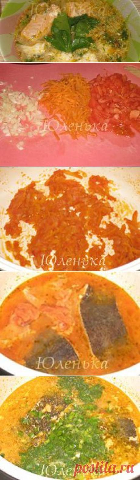 Как приготовить рыбный суп с горбушей, камбалой и молоком? Обалденно вкусный рецепт!