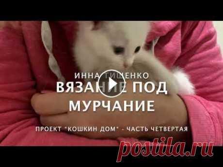 Проект &quot;Кошкин дом&quot; - часть четвертая. Новости котодома, знакомимся поближе с Персиком( Толстым Пельмешиком) и просто наслаждаемся пушистиками - отдыхаем душой! Много интересного в Инстагра...