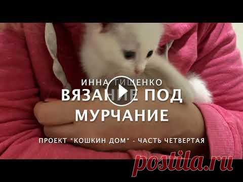 Проект "Кошкин дом" - часть четвертая. Новости котодома, знакомимся поближе с Персиком( Толстым Пельмешиком) и просто наслаждаемся пушистиками - отдыхаем душой! Много интересного в Инстагра...