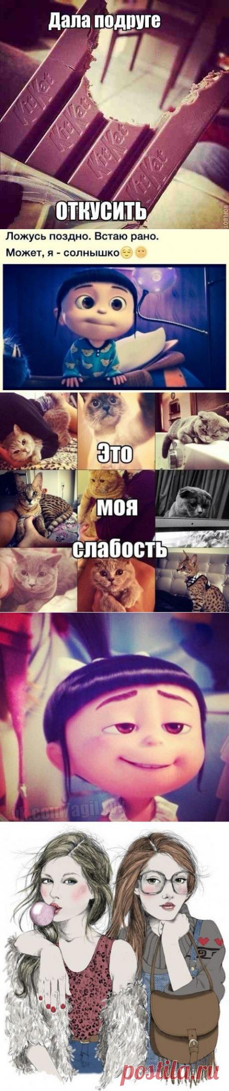 Лада Петкевич