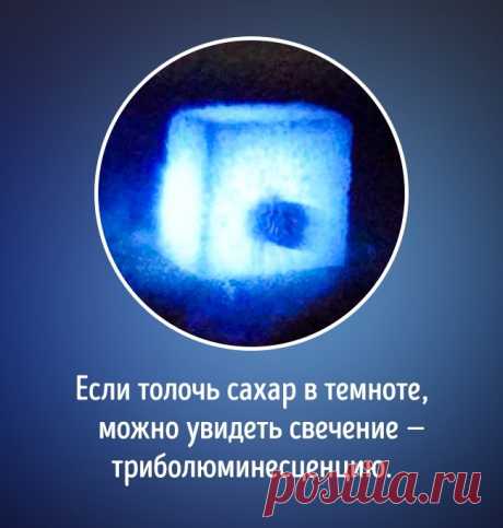 20 фактов о мире, которые нормальные люди обычно не знают