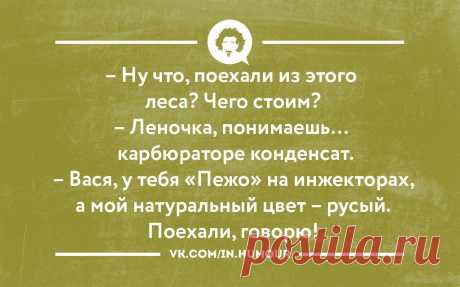 Интересные новости