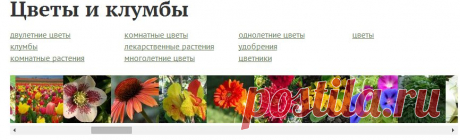 Цветы и клумбы