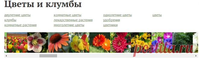 Цветы и клумбы