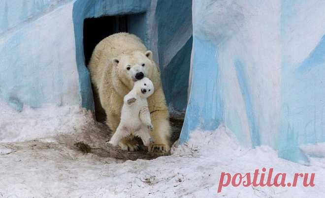 14 строгих родителей, чье терпение лопнуло...
