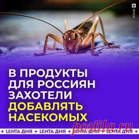 Знаете какой курс у нашей заботливой верхушки?
Перевести нас всех на еду из насекомых.
Конкретно двигает это Мантуров, конечно при полной поддержке руководства страны. Ещё в начале года про это начали говорить, уже начались выставки, где презентуют сверчков-пауков-червей. Коровы это зло, от них один вред, СО2.
Вот уже готовы мощности чтоб насытить нас 