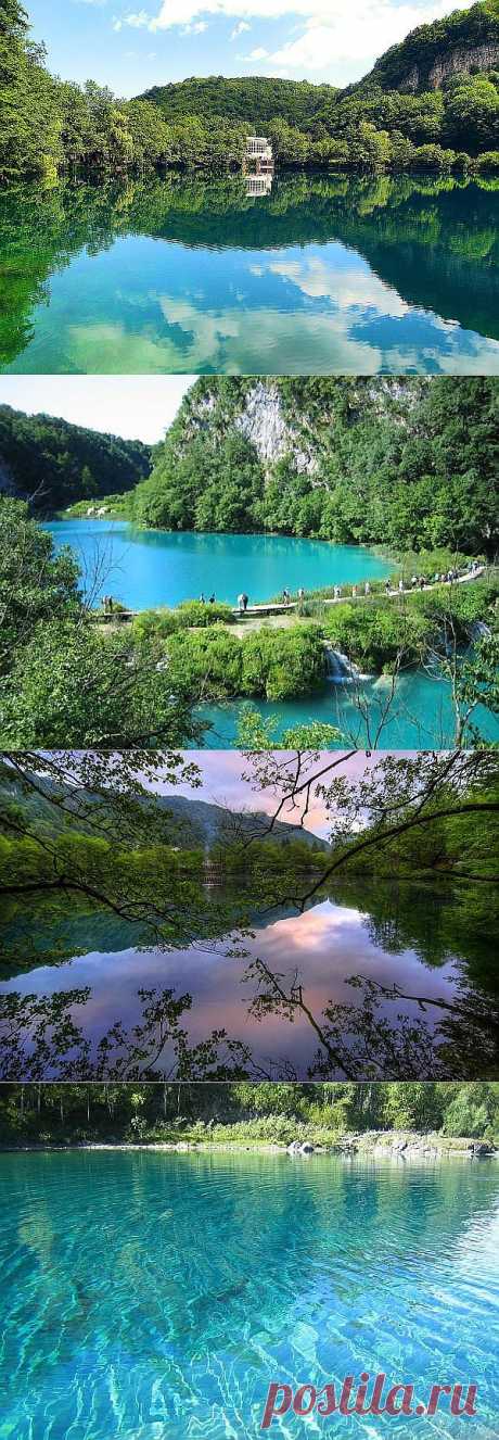 ��� ����� ������
Голубые озёра — группа из пяти карстовых озёр в Черекском районе Кабардино-Балкарии. Уникальность Нижнего голубого озера заключается в том, что при сравнительно небольшой поверхности (всего 235х130 м) оно имеет глубину 258 метров. В озеро не впадает ни одного ручья или речки, но ежесуточно вытекает около 70 миллионов литров. Вода голубая от наличия в ней сероводорода и преломления световых лучей в глубоком бассейне.