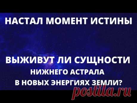 НАСТАЛ МОМЕНТ ИСТИНЫ! ВЫЖИВУТ ЛИ СУЩНОСТИ И ТЕ, КТО С НИМИ КОНТАКТИРУЕТ, В НОВЫХ ЭНЕРГИЯХ ЗЕМЛИ?!