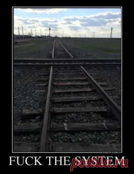 система