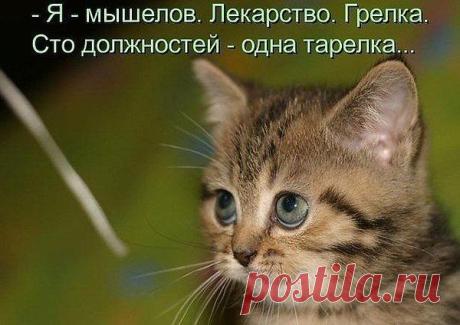 юмор