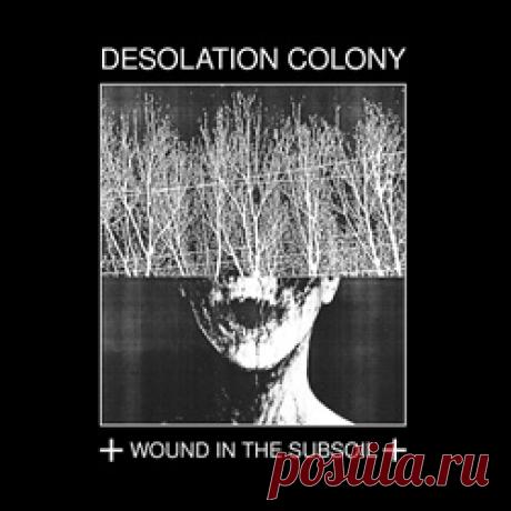 Desolation Colony - Wound In The Subsoil (Redux) (2026) 320kbps / FLAC