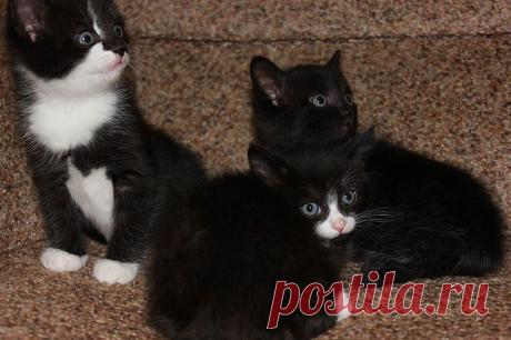 ФОТОМАСТЕРСКАЯ ПРИРОДЫ
ЛЮДА СУСЕКОВА(ПОЛОМОШНОВА)