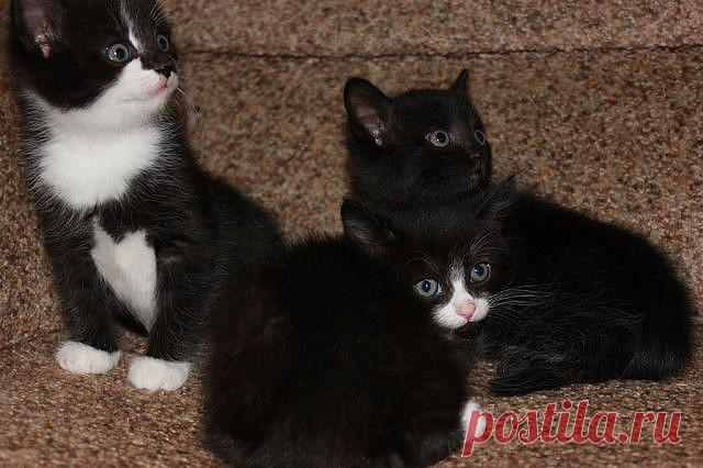 ФОТОМАСТЕРСКАЯ ПРИРОДЫ
ЛЮДА СУСЕКОВА(ПОЛОМОШНОВА)