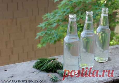 “Drink a tree” on your next camping trip, recommend the Half Pints | Fresh Bites Daily