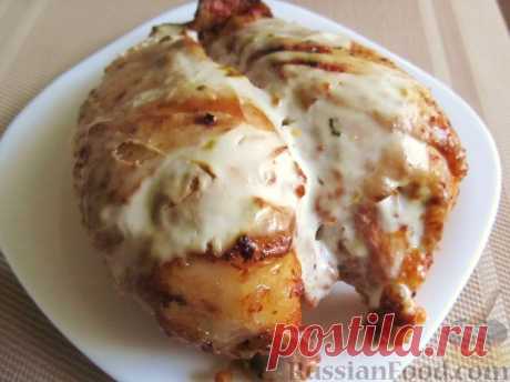 Блюда из курицы со сметаной