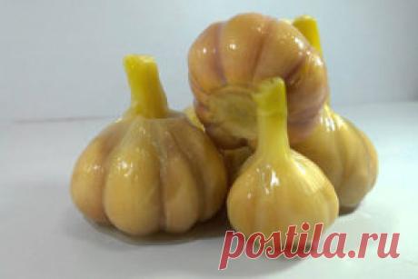 Маринованный чеснок — ❀ Мой сад заготовки