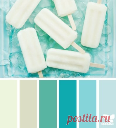 Сочетание цветов