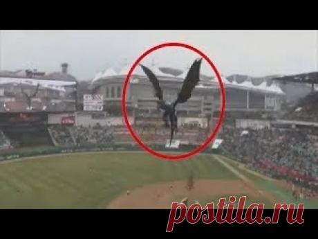 17 Videos Inexplicables Captados En Cámara