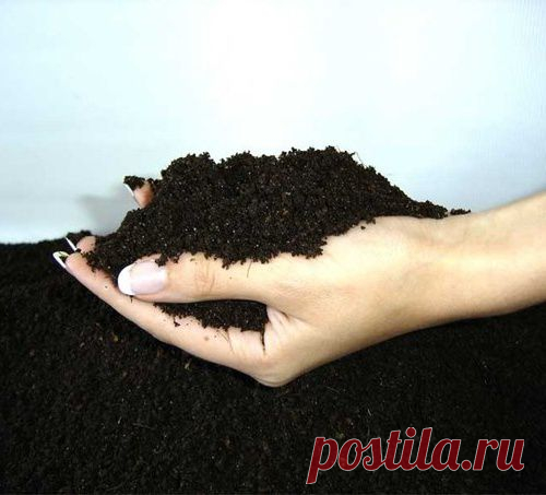 8 СПОСОБОВ ПОВЫСИТЬ ПЛОДОРОДИЕ ПОЧВЫ