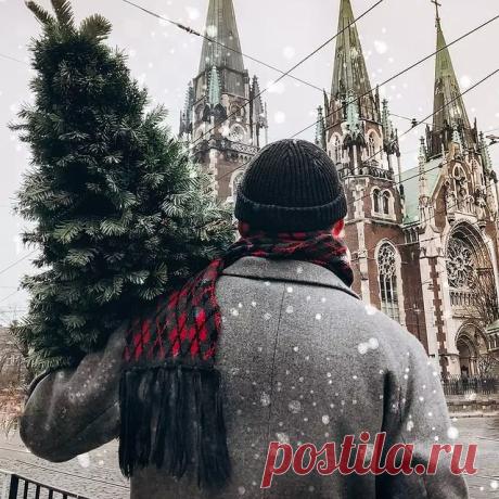 Photo by Украина in ЛЬВІВ