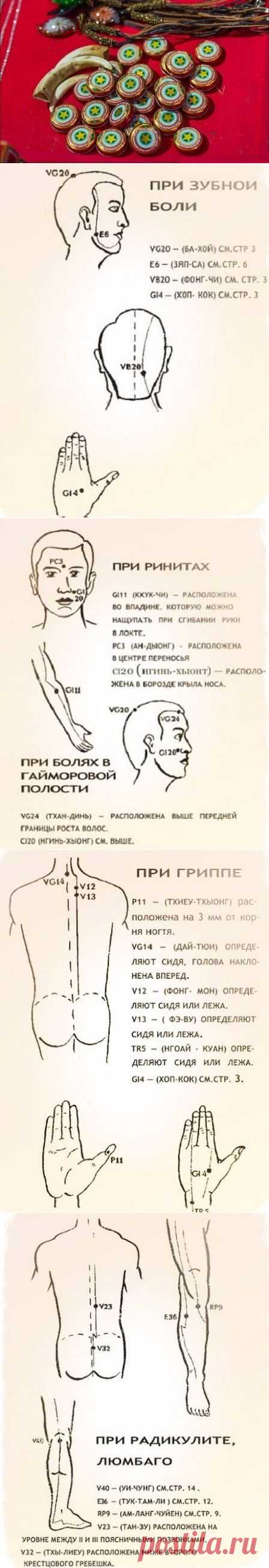 БАЛЬЗАМ ЗВЁЗДОЧКА. СВОЙСТВА И МЕТОДЫ ИСПОЛЬЗОВАНИЯ