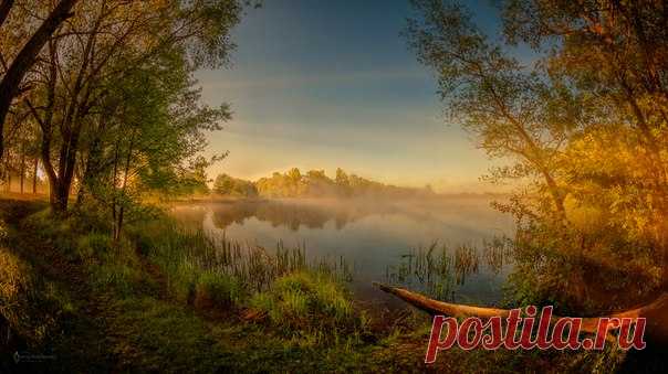 Доброе утро! Рассвет на реке Мухавец в Беларуси. Автор фото – Сергей Домбровский: nat-geo.ru/photo/user/316013/