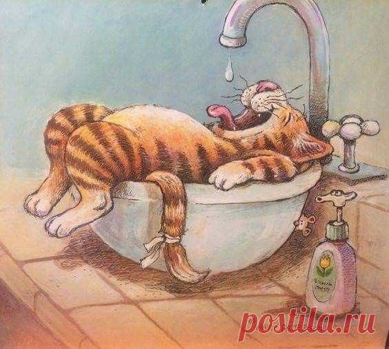 49d1918364c820b04c1d380b51e98161.jpg (564×507)