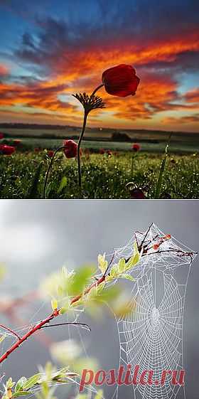 500px / Editor's Choice