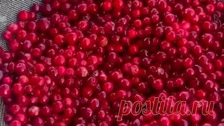 Самый простой и вкусный Соус для Шашлыка