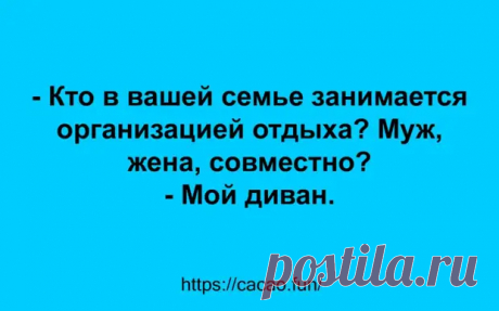 (31) Весёлые анекдоты и прикольные шутки - Мир так интересен! - 29 января - 43490651242 - Медиаплатформа МирТесен
