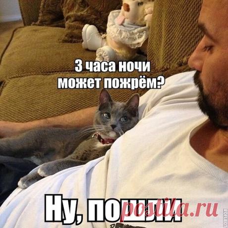 Интересные новости