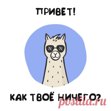 Открытка привет как дела с ламой в очках.