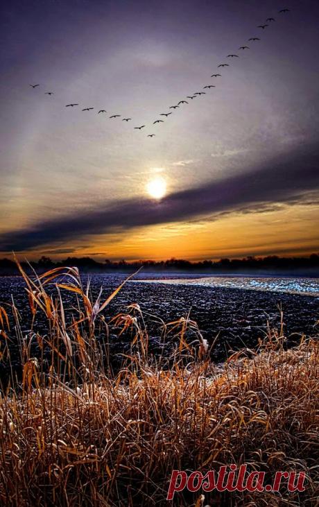 Zulya S - Google+
