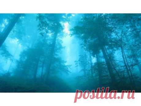 Широкоформатные обои, бесплатные картинки широкого формата