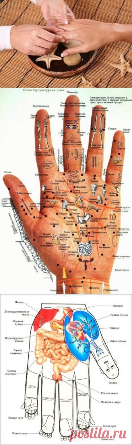 (169) Pinterest • Всемирный каталог идей